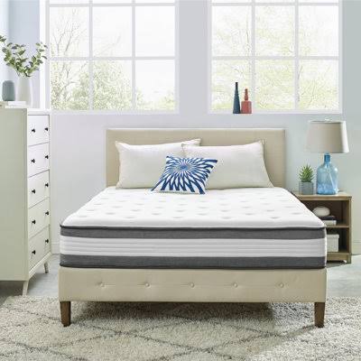 Wayfair Sleep 10.5 Plush Hybrid Mattress Wayfair Sleep Mattress Size: Twin