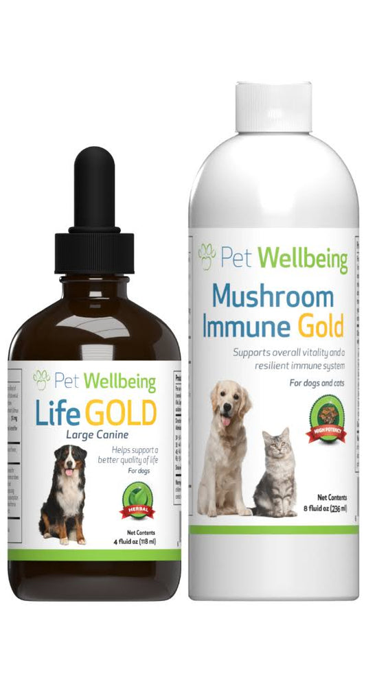 More Mushrooms Kit - Comprehensive Cancer Care - Large Dog By 12 Oz