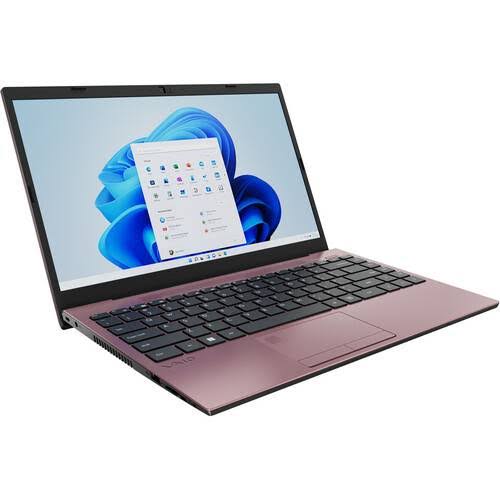 Vaio 14.1 Fe14 Laptop (Rose Gold)