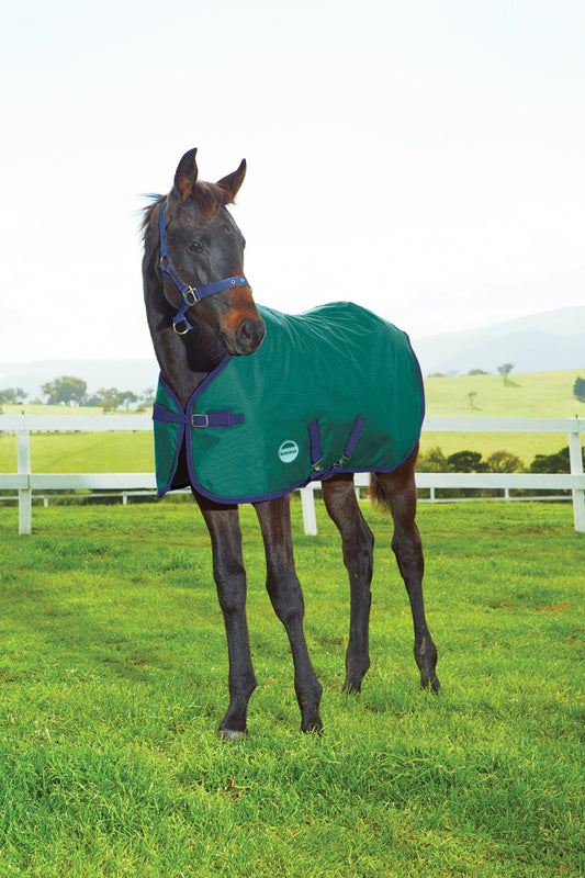 Weatherbeeta 1200d Standard Neck Medium Ii Foal Blanket