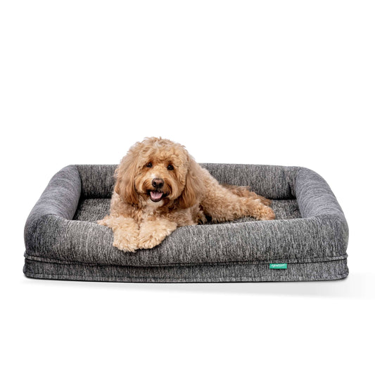 Newton Washable & Orthopedic Pet Bed In Medium